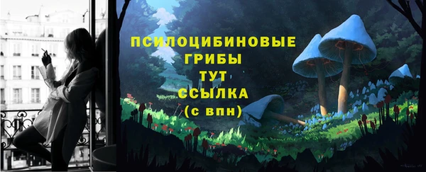 ешки Абаза