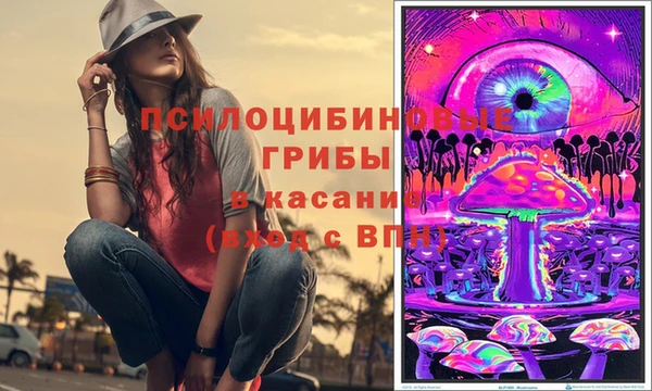 ешки Абаза