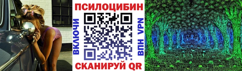 Галлюциногенные грибы Psilocybine cubensis  Болгар 