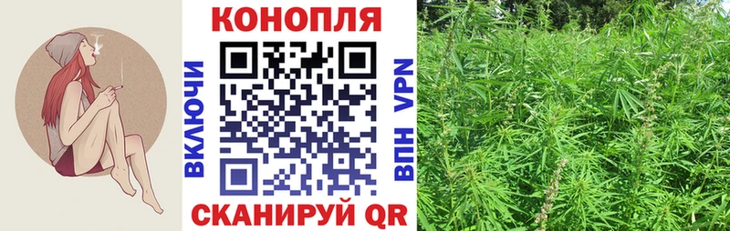 Бошки Шишки гибрид  Болгар 